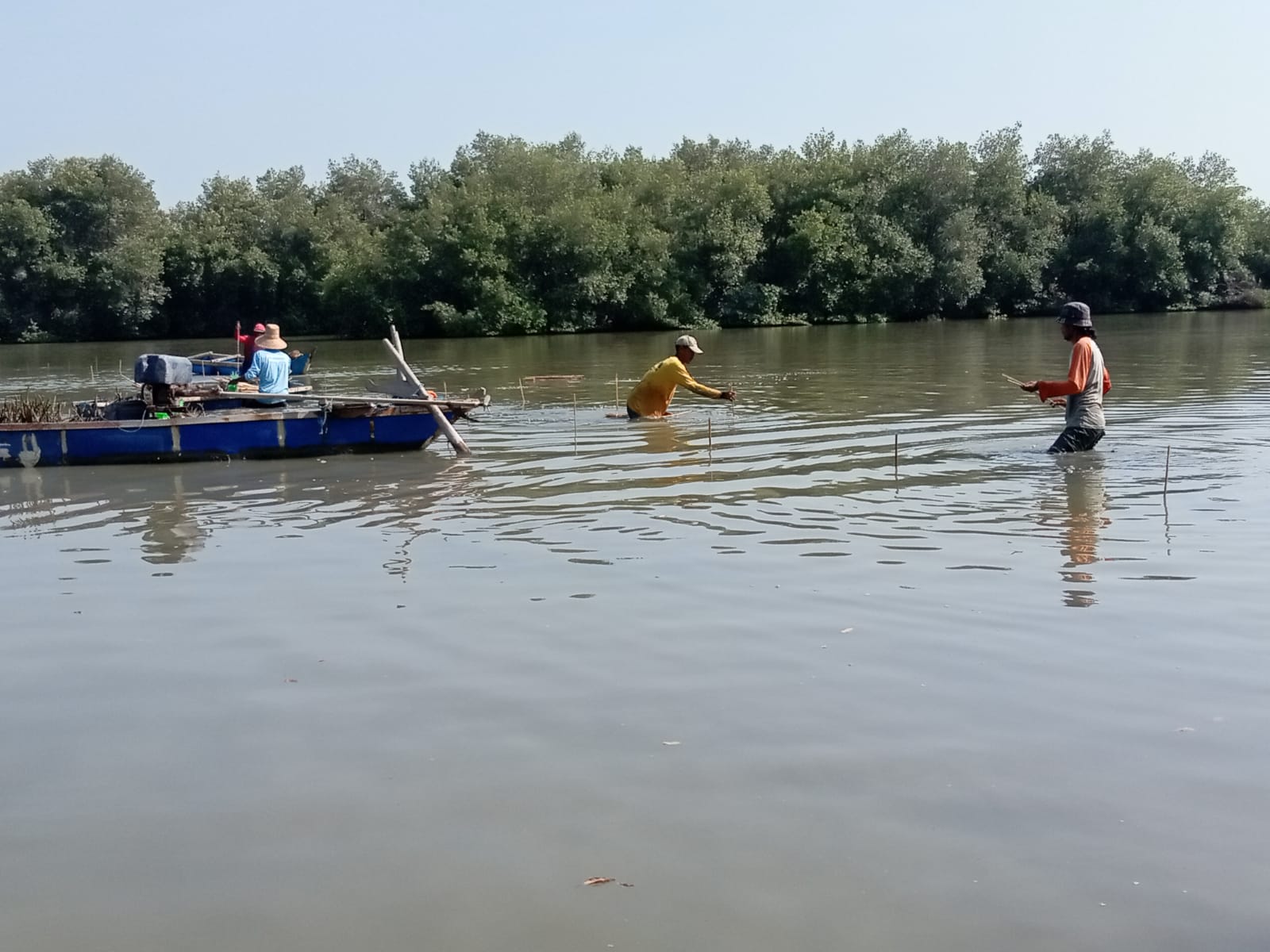 Restorasi Mangrove & Blue Carbon