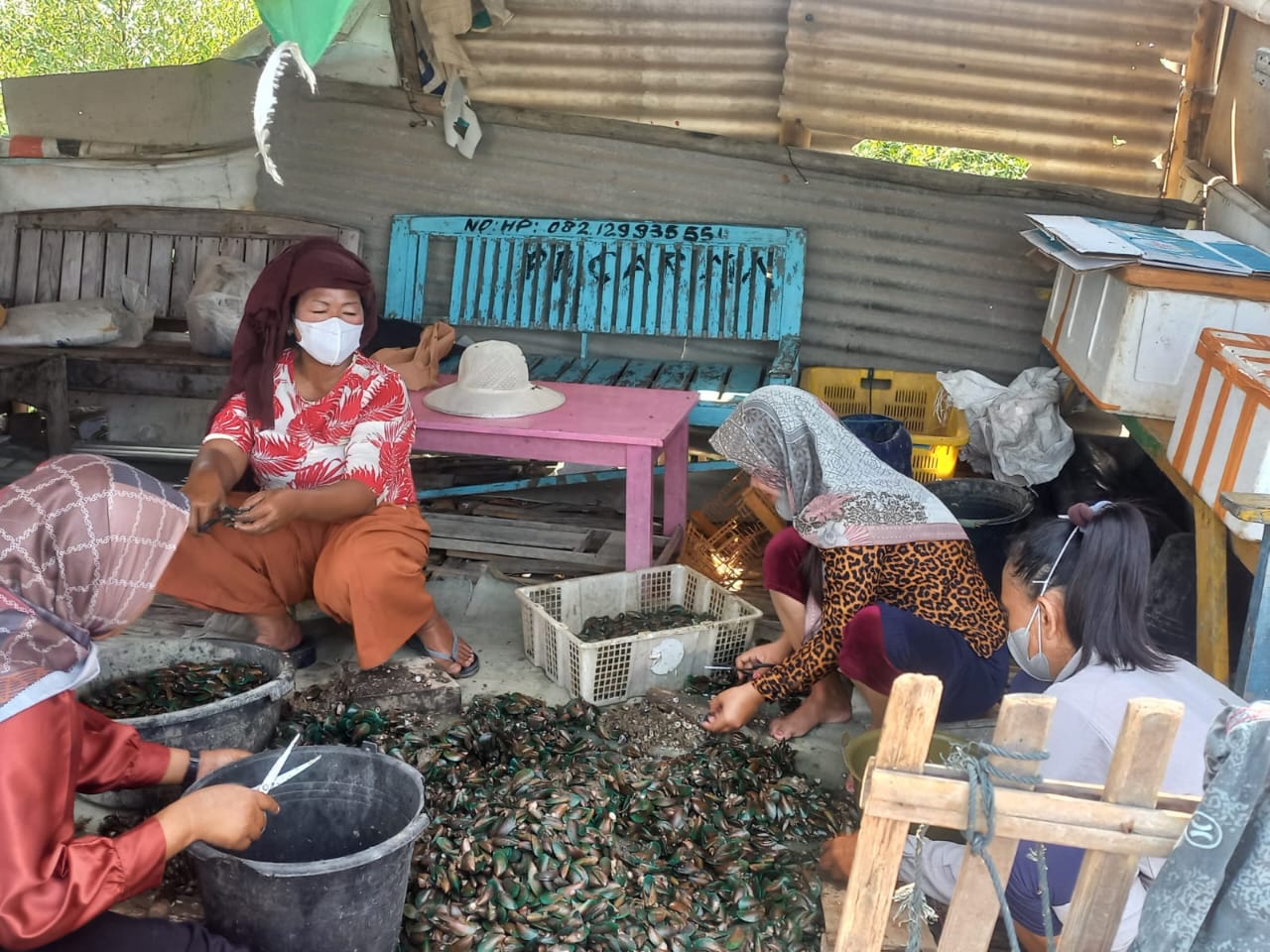 Budidaya & UMKM Pesisir